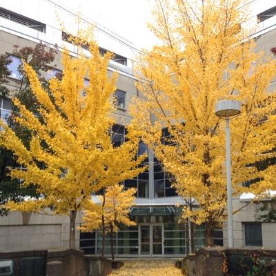 UOTTAWA