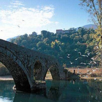 SkadarskoJezero's profile picture. Ko istinu uzjaše savladao je stvorenja.