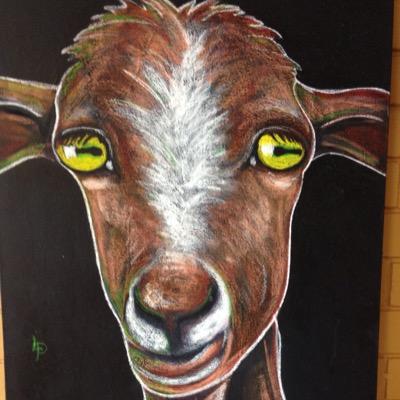 amandalacarr's profile picture. Say what you mean and mean what you say. Clever swears appreciated. Retweet/follow may not be an agreement or endorsement- it might be stalking.