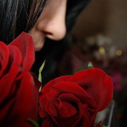 Aleksa2017's profile picture. 