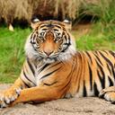 jose gregorio ojeda - @ojedaice - Twitter