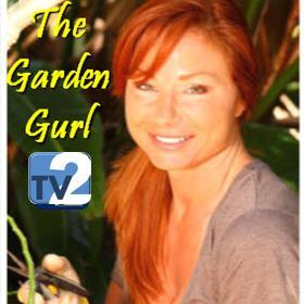 More than a shop, it's an experience! Plants for every purpose and knowledge abound at this interactive garden shop