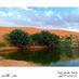 بندر فهد القاسم (@abofahad1433) Twitter profile photo