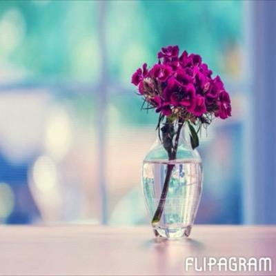 مشرفة تربية فنية عضوة في نادي جسفت و نادي فن و فنانين  مشاركة في عدة معارض على مستوى المملكة