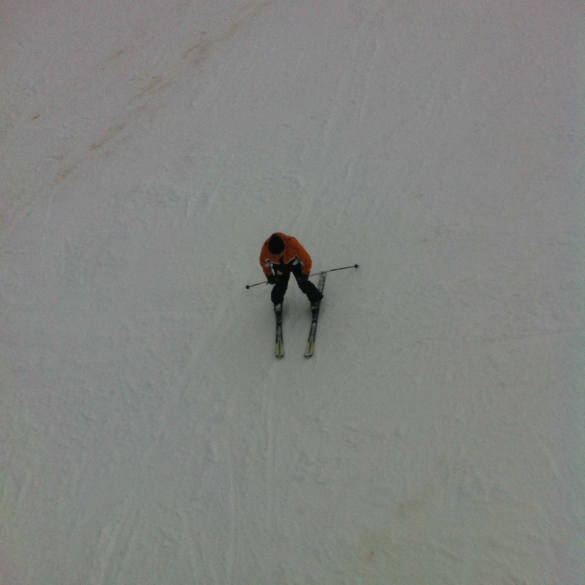 basil562's profile picture. 