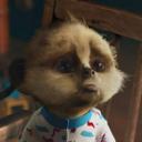 lisa procter - @123procter - Twitter