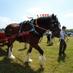 CaerwysShow (@caerwysshow) Twitter profile photo