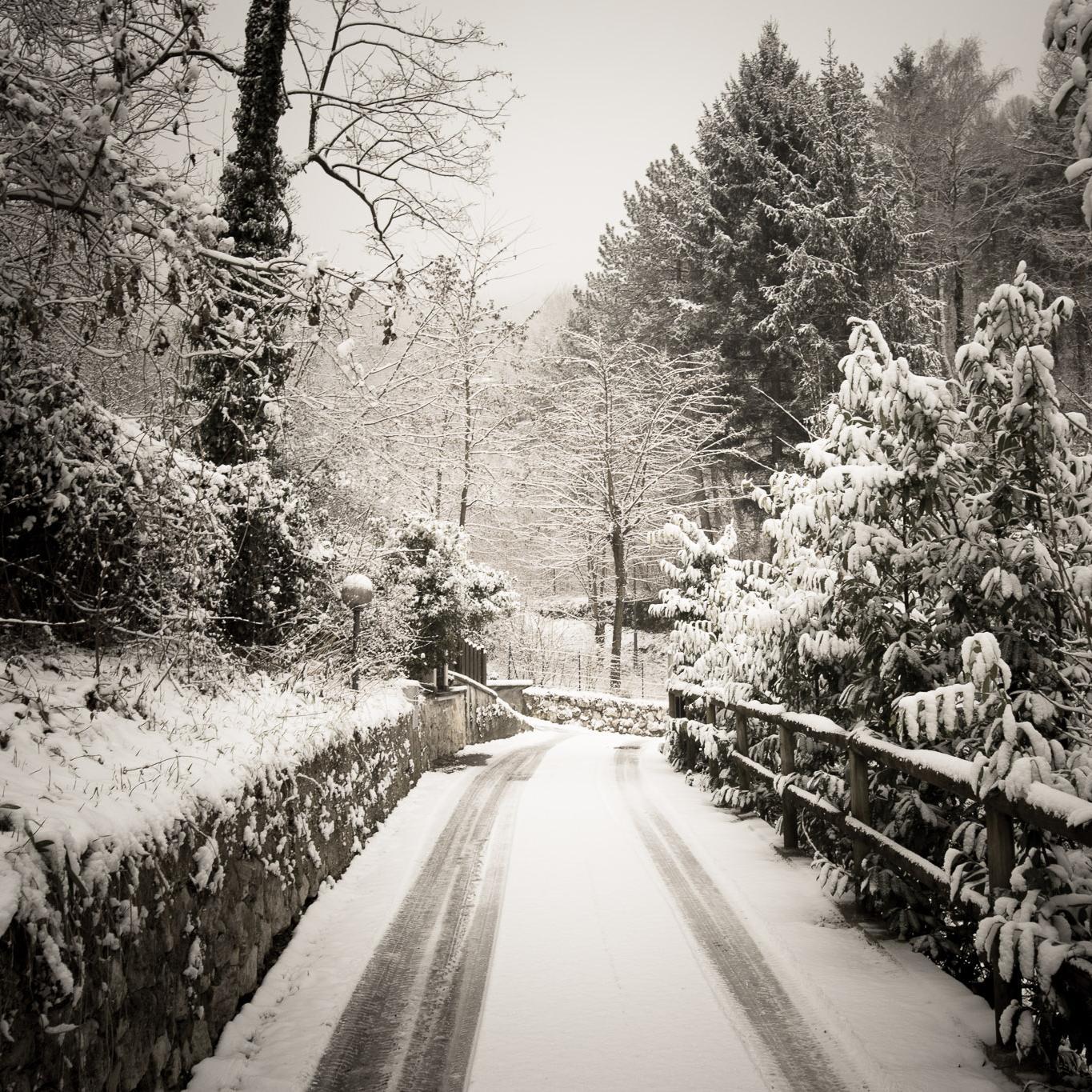 Software developer with the hobby for photography http://t.co/NF2mwIxoW4