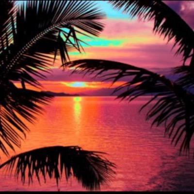 We're here for the best pictures of palmtrees and breathtaking views!