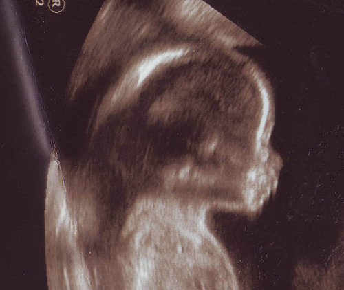 jpdaniell's profile picture. 