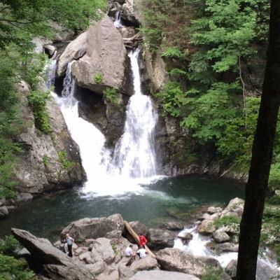 trijacon3's profile picture. "Grá don Dia agus don Tír.” (Love for God and Country.) 
My 2A assures my 1A. Irish Catholic from Flatbush Brooklyn, now in CT
ن