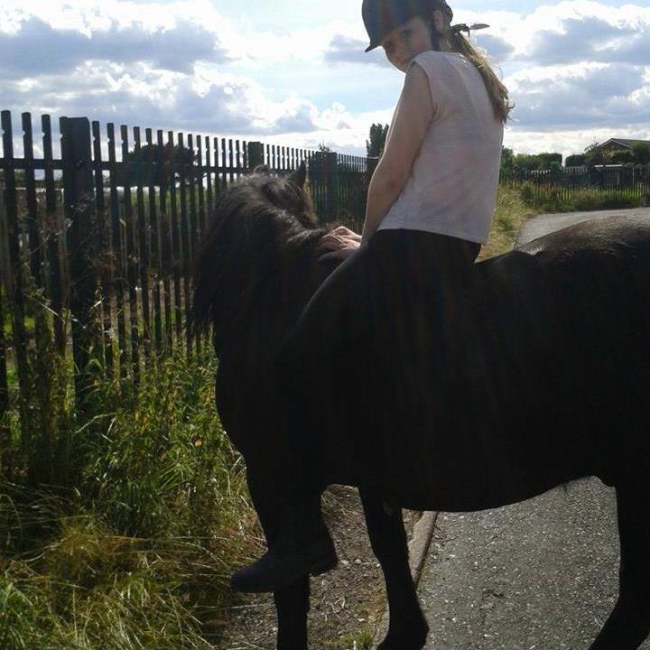 Courtney-Leanne, blackjack is my world, 14.2 big horse!, love horses, riding is my passion, I ride an animal with a mind of its own, everything horsey :)