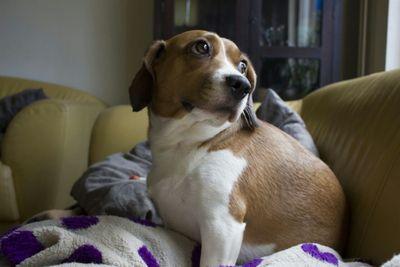 astrid1000's profile picture. 