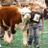 cattleshowgirls's profile image