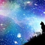 yukihro0513's profile picture. in率低め。