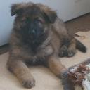 francesca cunningham - @CescaBear11 - Twitter