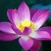 robindang (@1215747aba2123) Twitter profile photo robindang (@1215747aba2123) Twitter profile photo