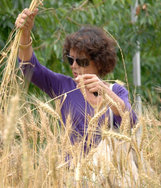 gelmi13gelmi's profile picture. artista -