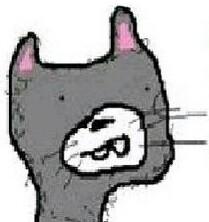 v0rs_ Profile Picture