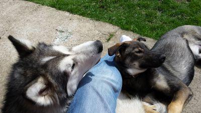 robomcandrew's profile picture. 