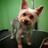 debpugs87's profile image
