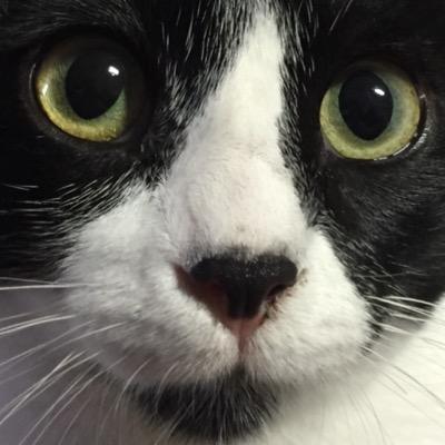 monifelipau's profile picture. 