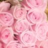 mony47428395's profile picture. لا اله الا انت سبحانك أني كنت من الظالمين 🌹
