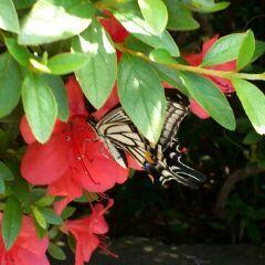 toko_readbook's profile picture. 