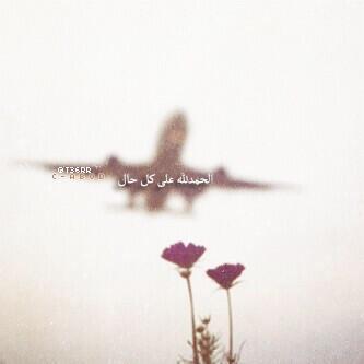 alshammri_nora's profile picture. اللهم اجعل زوجي قرة عيني 
واجعلني قرة عينه واحفظ لي صغاري❤️