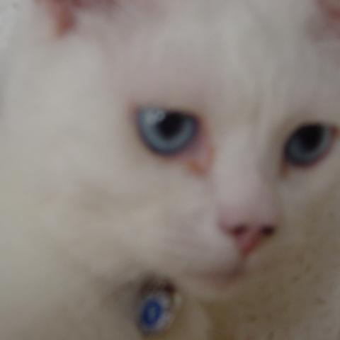 axl_yuki Profile Picture