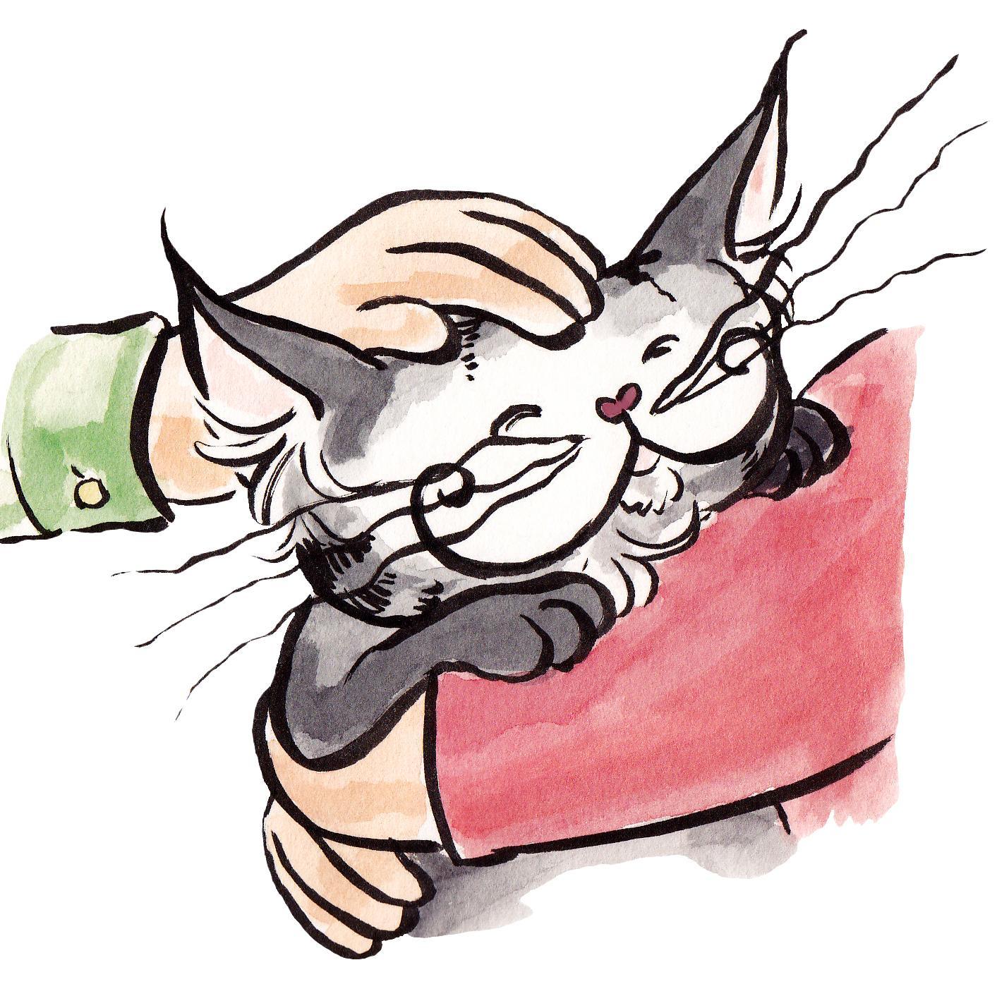 I am a six year old adventure cat and story teller.   I love to share my tickly tales with my feline friends.  Power to the paws!