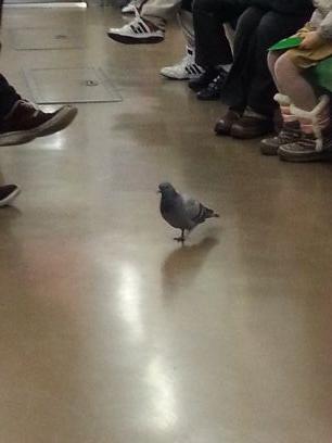 2pi5kkooo6ryo's profile picture. ✨女性は神様、女神様💜
下着(P)、吸うやつ、オイルマッサージ⭕
お尻🍑お姉さん好きです！
DMお気軽にどうぞ😆👍️➰