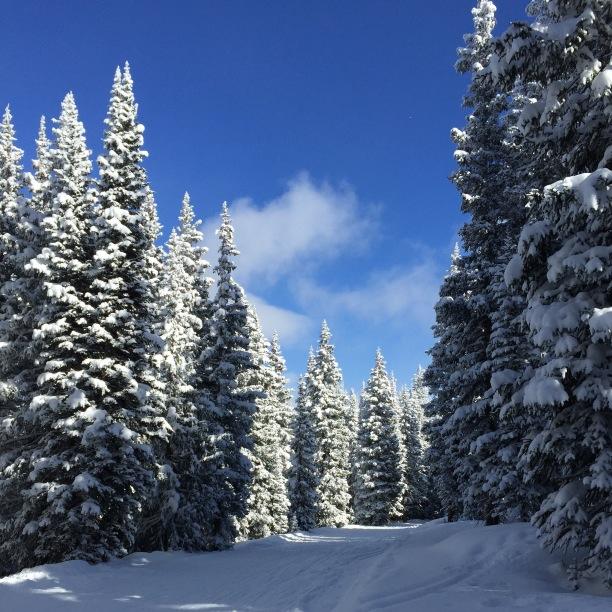 abbeross's profile picture. 