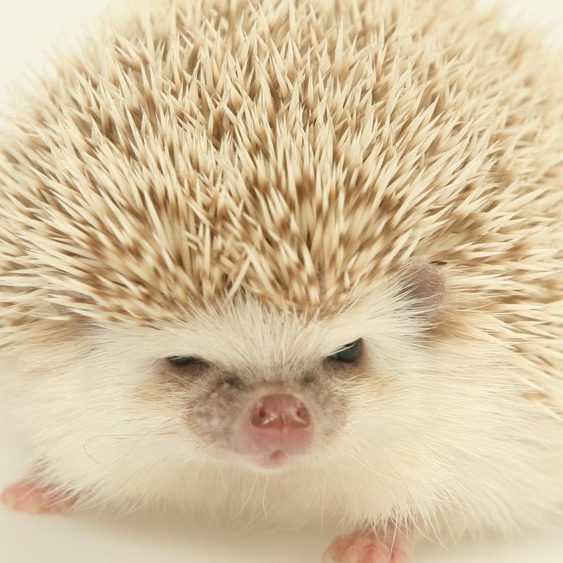 linedn2's profile picture. 