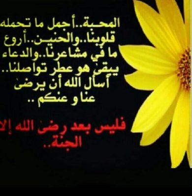 ‏‏الإستغفار ... 
سعادة لـ التائهين 
فرج للمكروبين 
وغفران للمذنبين 

- استغفر اللہ العظيم وأتوب إليہ -