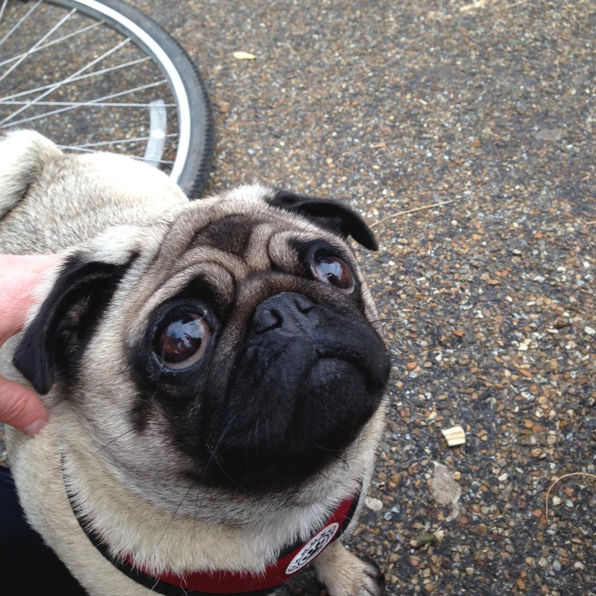 lovfamilylondon's profile picture. Discover and learn about London.  Child-friendly suggestions, activities and resources for families and young children  visiting London.