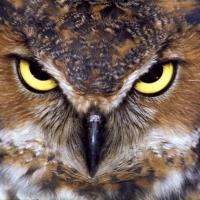 JT (@jat8000jt) 's Twitter Profile