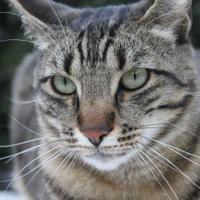 Loredana (@lore944) 's Twitter Profile