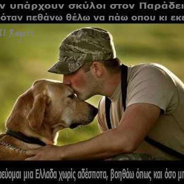 orka23's profile picture. 