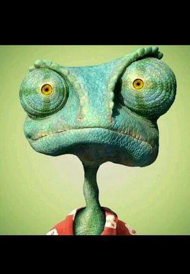 neser_nk Profile Picture