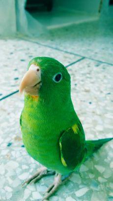 uzcategui44's profile picture. 