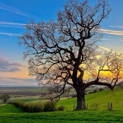 najibfaiz111's profile picture. najibfaiz111