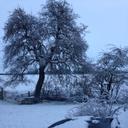 Deborah Ambrose - @ambrose_deborah - Twitter