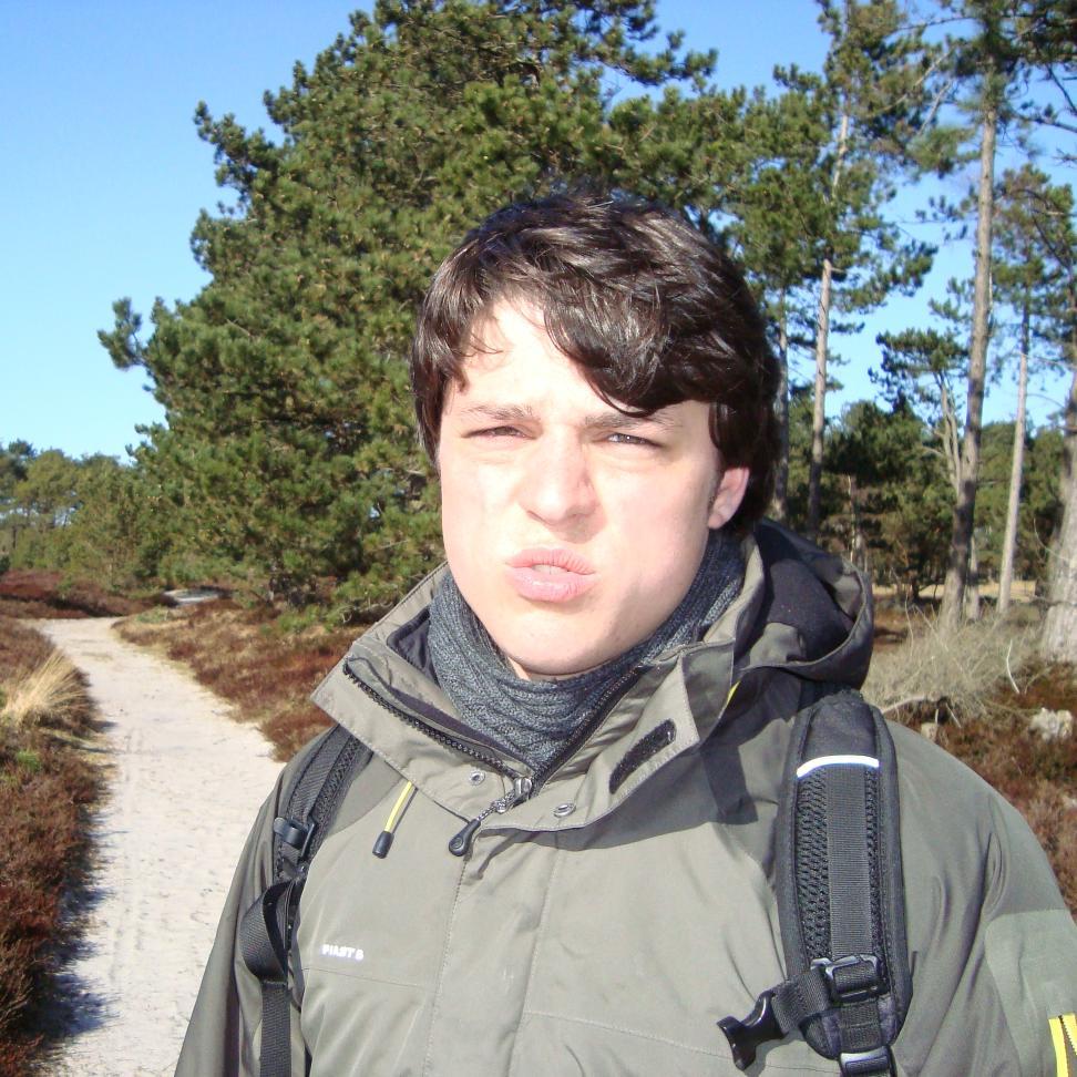 Software engineer,
Hobby programming language crafter