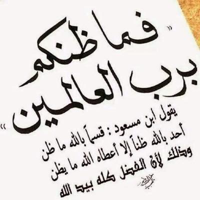 ghalyh2's profile picture. 