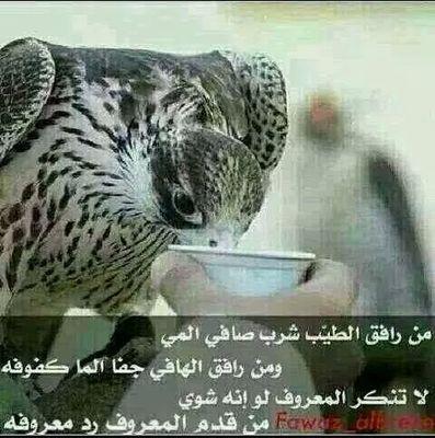 my friend