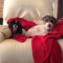 Peter Fischbach - @ThePanMan - Twitter