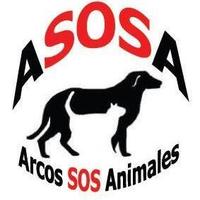 ARCOS ASOSA (@asosaarcos) 's Twitter Profile