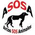 ARCOS ASOSA (@asosaarcos) Twitter profile photo