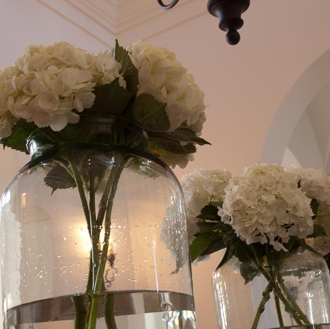 A unique interior design firm and shop always having a length wise on design. hello@blueseeds.net